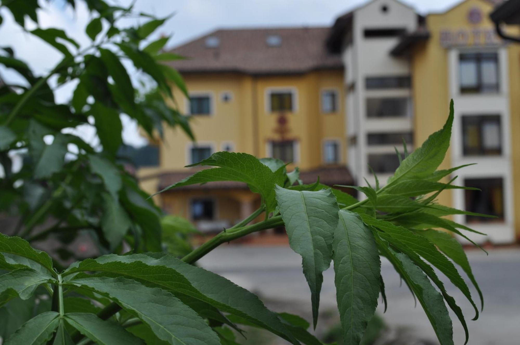 Hotel Duca Di Calabria Serra San Bruno Luaran gambar